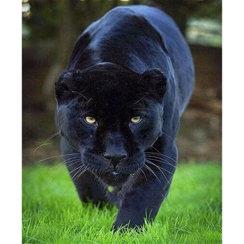 Loomade Black Panther DIY 5D Täielik Teemant Mosaiik Diamond Tikandid Diamond Maali Kit Jõulud Kingitus Home Decor Aasta