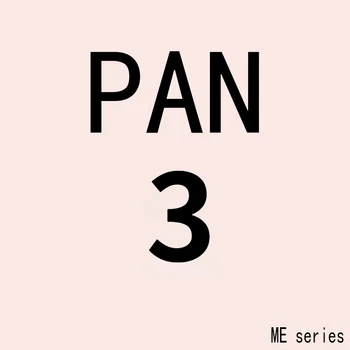 PAN MIND 3